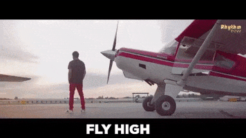 fly high GIF