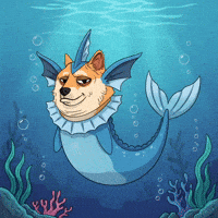 Shiba Inu Swimming GIF by Doge Pound