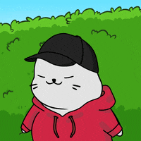 Scared Fun GIF by Sappy Seals Community