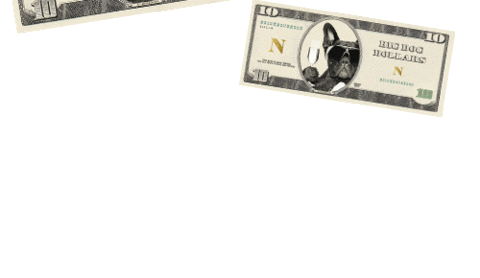 make it rain money Sticker by NEIGHBOURHOOD