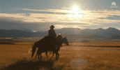 Horses Riding GIF by duttonranch