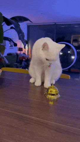 Funny Cat Bell GIF