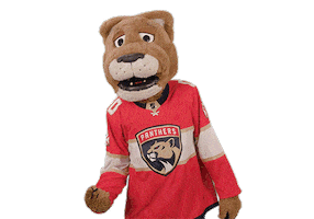 Swipe Up Ice Hockey Sticker by NHL