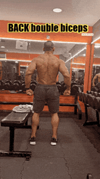 GIF by ZShredz