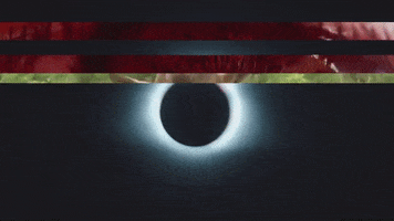 Art Video GIF by jorgemariozuleta