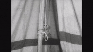 Art Video GIF by jorgemariozuleta