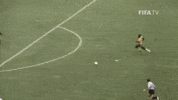 Fail World Cup GIF by FIFA