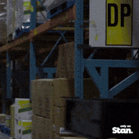 better call saul only on stan GIF by Stan.