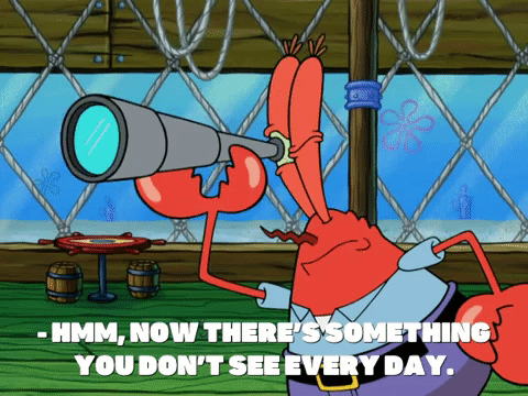 season 8 episode 25 GIF by SpongeBob SquarePants