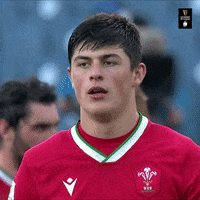 Welsh Rugby Wink GIF by Guinness Six Nations