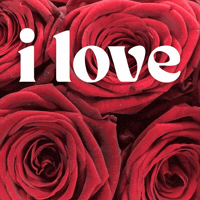 Happy I Love You GIF by Jennifer Greenhill
