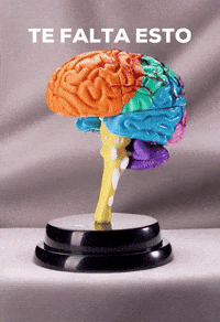 Te Falta Esto GIF