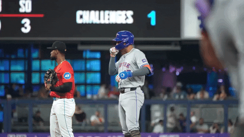 Celebration Baseball GIF by New York Mets