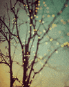 christmas lights GIF