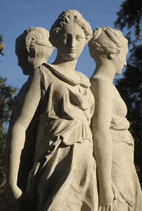 Three Graces Women GIF by Maryanne Chisholm - MCArtist