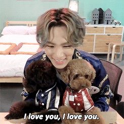 shawol GIF