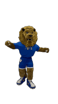 New York Hofstrau Sticker by Hofstra University