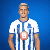 Football Bundesliga GIF by Hertha BSC