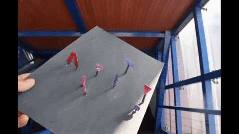 flandrinamaks giphygifmaker anamorphosis GIF