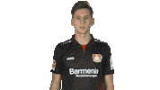 football what Sticker by Bundesliga
