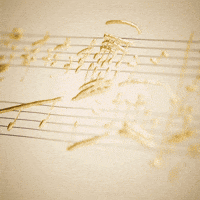 Song Invest GIF by Bump-fm