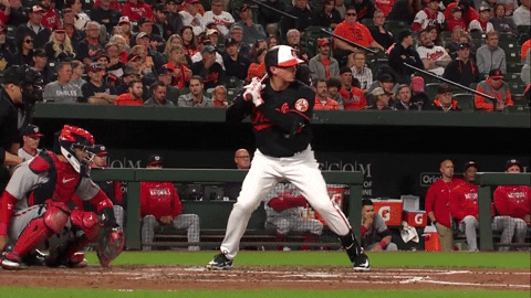 tesstass giphyupload GIF