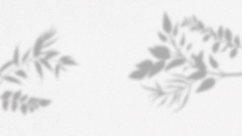 dinakardink giphygifmaker GIF