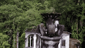 mexico great gardens las pozas GIF by NOWNESS