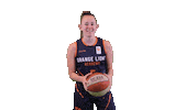 NLbasketball olaw Sticker