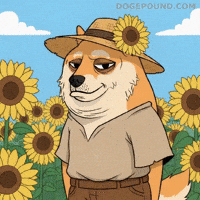 Shiba Inu Smiling GIF by Doge Pound