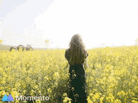 TheFilmFactory vmn vergeetmyniefliek vergeetmynie thefilmfactory GIF