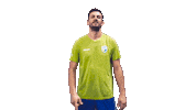 Mitja Gasparini Volleyball Sticker by EuroVolley2019si