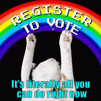 Cat Voting GIF by INTO ACTION