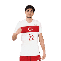 Ay Yildiz Sticker by Kaan Ayhan