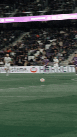 Goal Bundesliga GIF by SK Sturm Graz