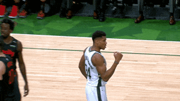 giannis antetokounmpo yes GIF by NBA
