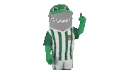 Liga Nos Football Sticker by Rio Ave Futebol Clube