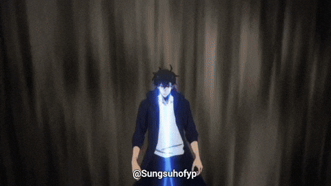 Solo Leveling Sung GIF