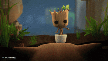 Guardians Of The Galaxy Rocket GIF by Marvel