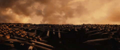Invasion