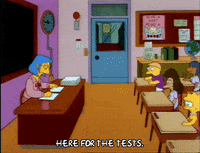 Season 3 Test GIF by The Simpsons