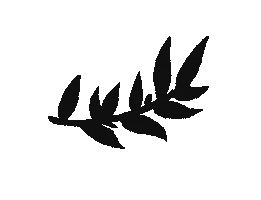 Beauty Tattoo Sticker