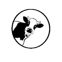 teamvegan vegan go vegan teamvegan team vegan Sticker