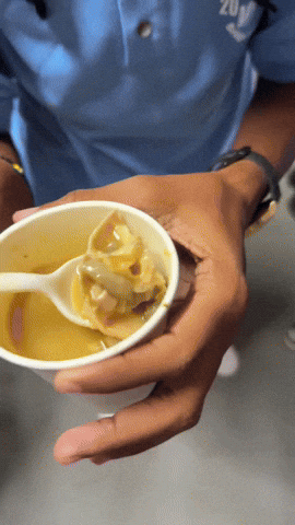 Jamaica Soup GIF