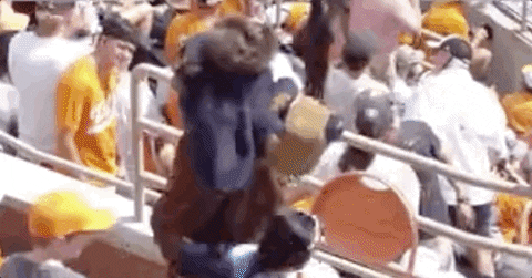 Super Regional Baseball GIF by NCAA Championships