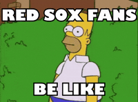Red Sox Baseball GIF by Respective