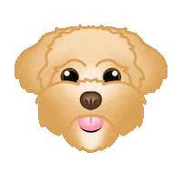 Goldendoodle Labradoodle Sticker by zoopeez