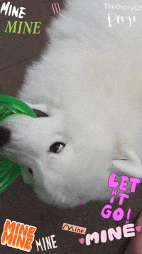 Meu Benji GIF