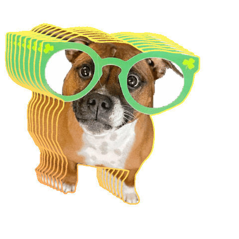 crewandconcierge_ giphygifmaker dog dogs cc Sticker
