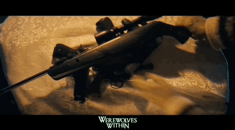 GIF by Signature Entertainment
